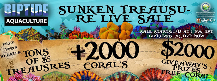 RIPTIDE AQUACULTURE | Sunken Treasure LIVE SALE| +2000 Corals|+$2000 Giveaway| Up to 90% OFF - riptide aquaculture llc