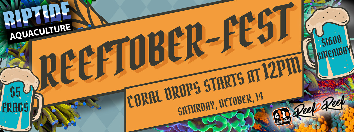 RIPTIDE AQUACULTURE| Reeftober-Fest| $5 Coral| $1600 in Prizes
