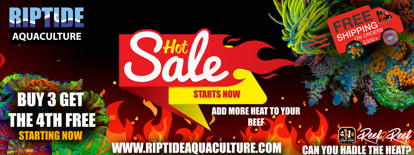 RIPTIDE AQUACULTURE| Promos and Website updates. - riptide aquaculture llc