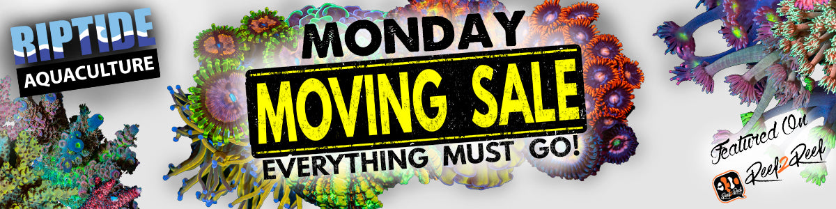 RIPTIDE AQUACULTURE| Monday Moving Sale| Huge Discounts, Everything Must Go!