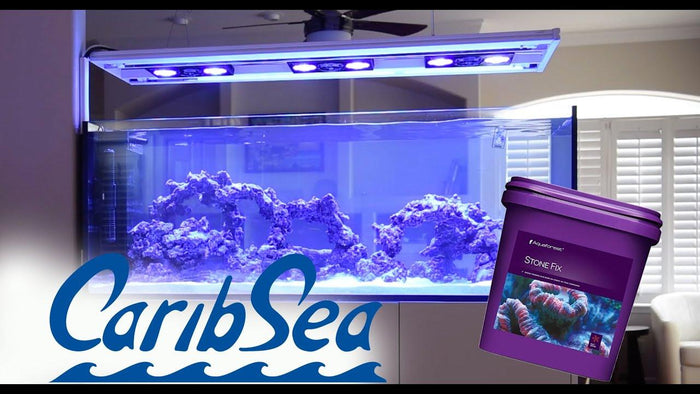 Watch us build a custom rock structure - riptide aquaculture llc