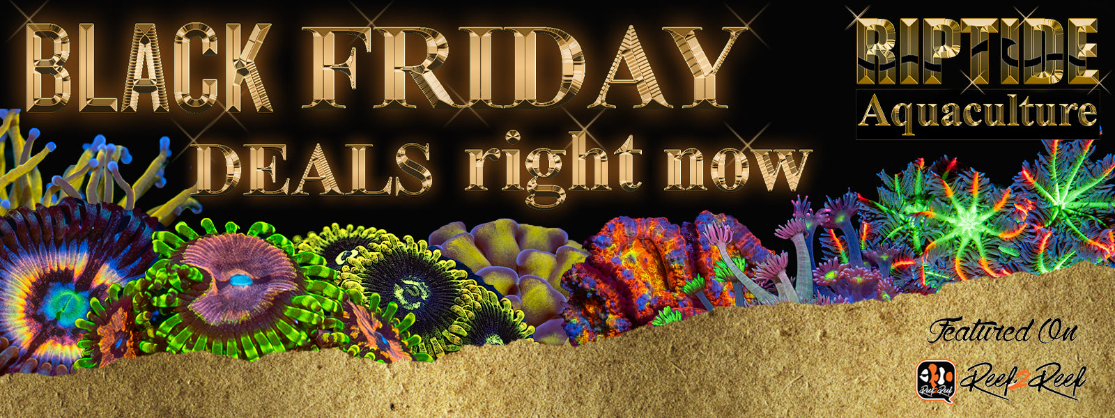 Black Friday!