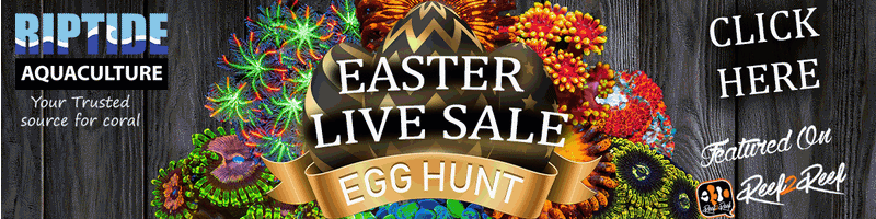 RIPTIDE AQUACULTURE| Live Sale| EASTER EGG HUNT| April 19th|Happy Hunting!