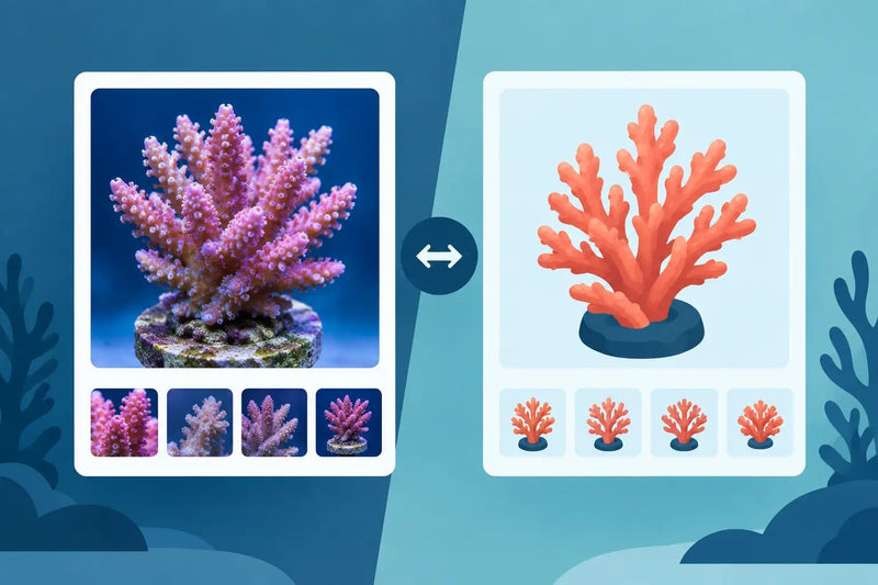 WYSIWYG Versus Standard Coral Listings Explained