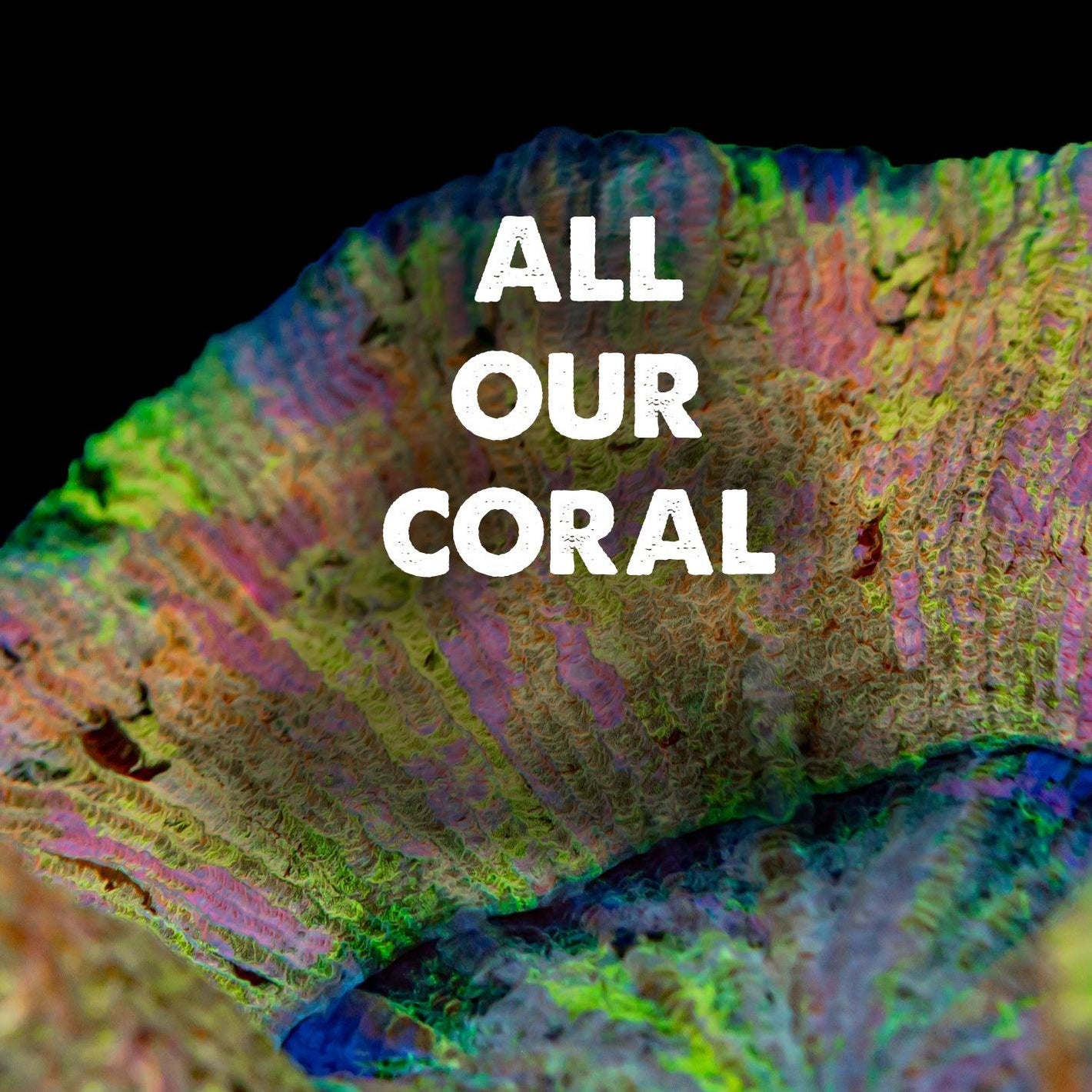 All our coral