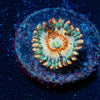Seduction Zoanthid - riptide aquaculture llc