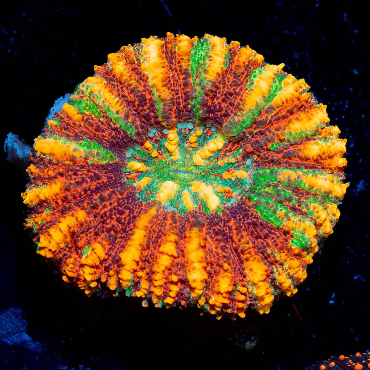 11-04-A18-S1-03_cbcdffd6-4bb5-