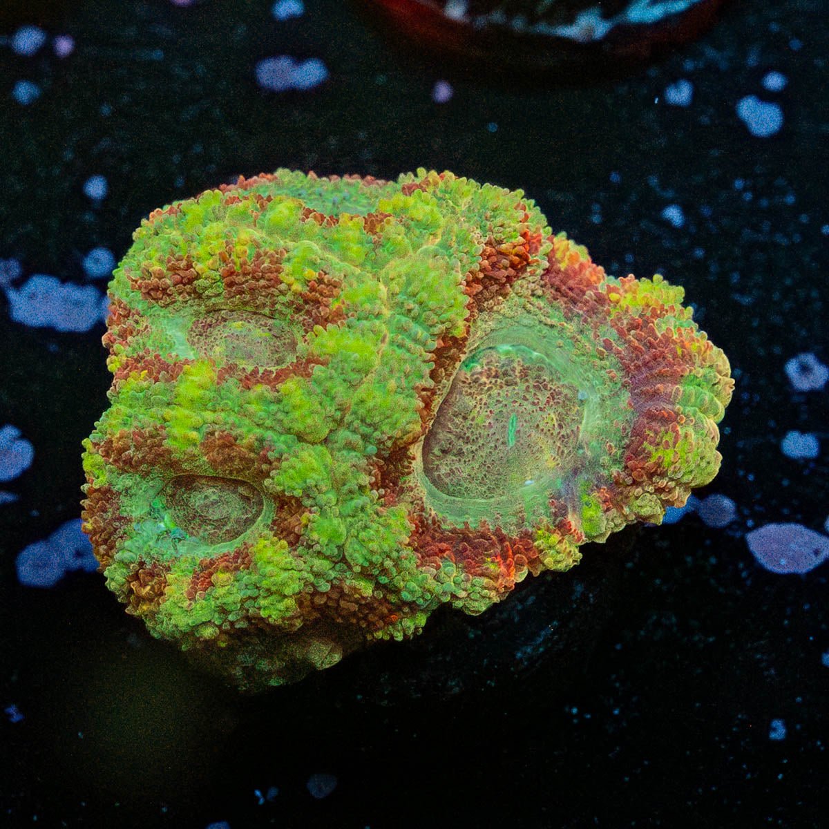 12-18-B002-S1-09_1be3b9e6-1a84