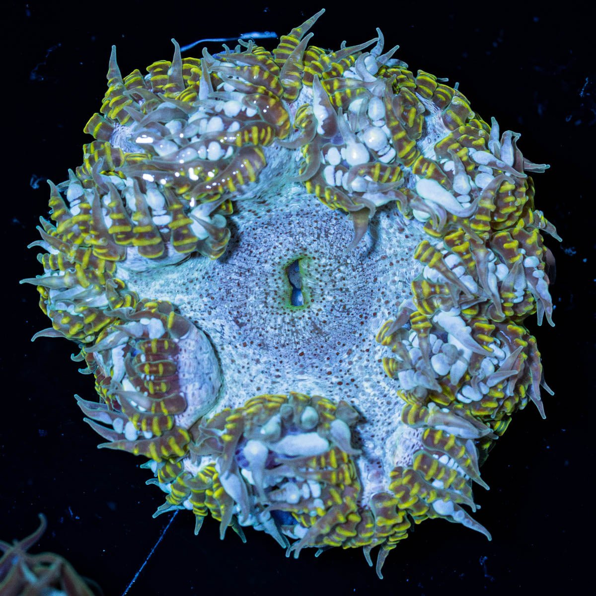 12-18-RFA4-S3-08_474e9bfd-e8ad