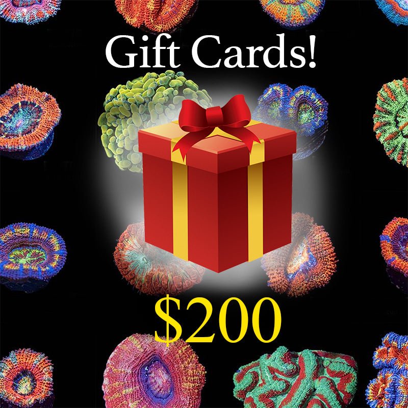 Riptide Aquaculture Gift Card - riptide aquaculture llc