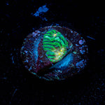The Mask Convict Chalice - riptide aquaculture llc
