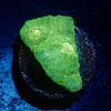 Space Invaders Chalice - riptide aquaculture llc